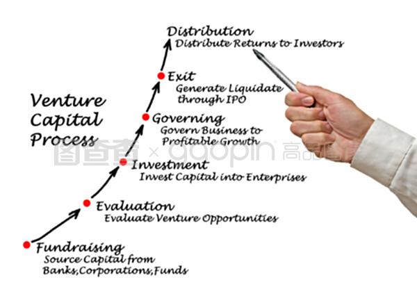 风险资本的投资管理流程解析