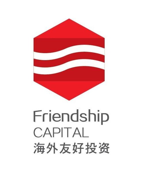 广东海外友好投资管理 专业服务与未来展望